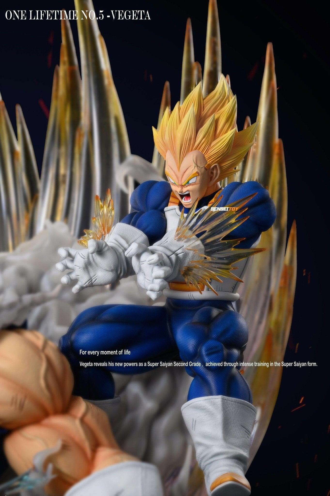 Vegeta Diorama SHK Resin Statue