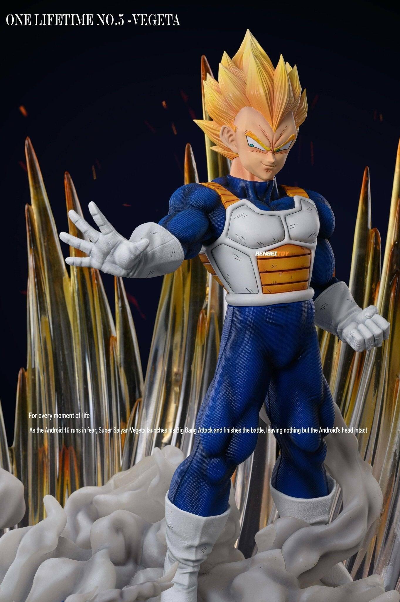 Vegeta Diorama SHK Resin Statue