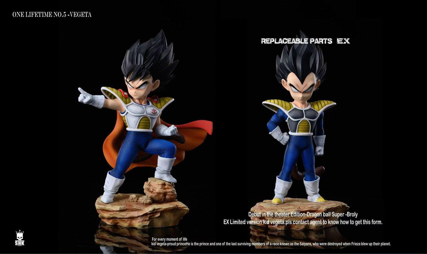 Vegeta Diorama SHK Resin Statue