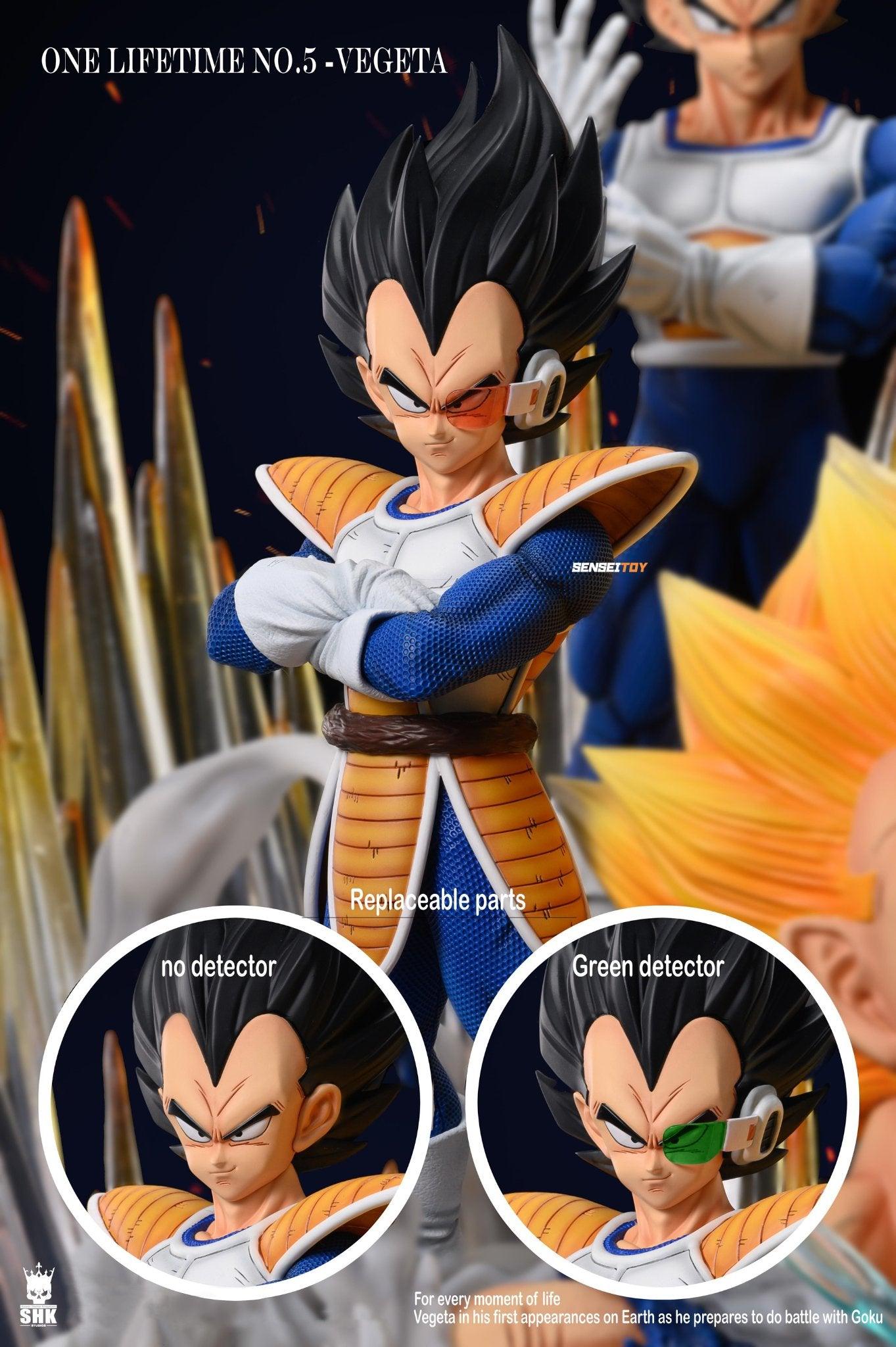 Vegeta Diorama SHK Resin Statue