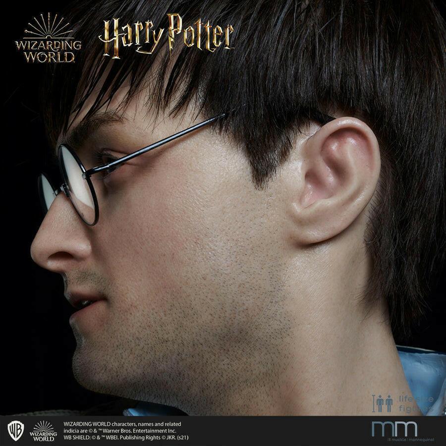 Harry potter  Muckle Mannequins 