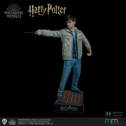 Harry potter  Muckle Mannequins 