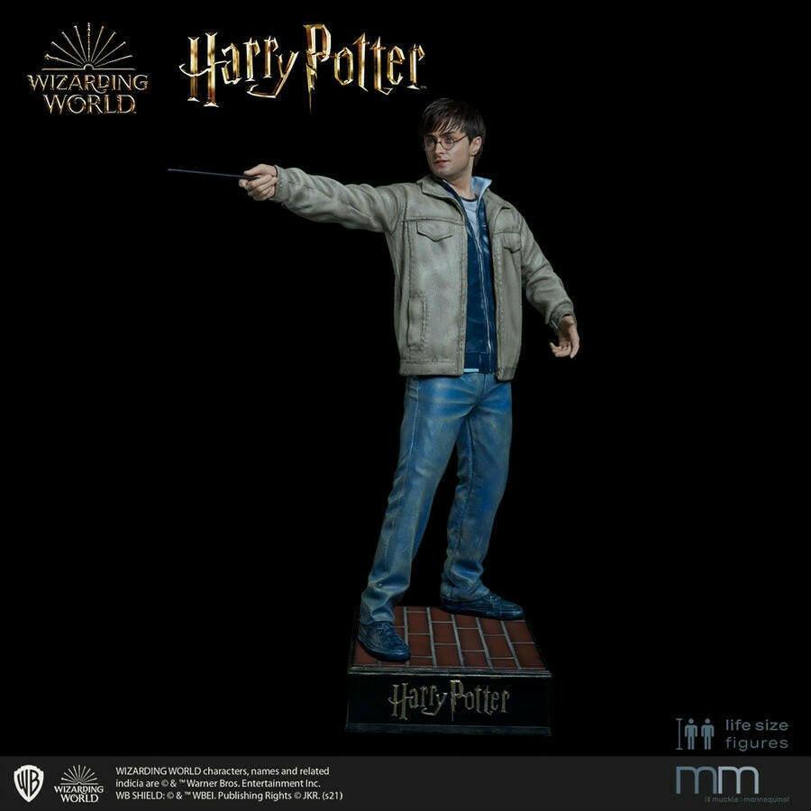 Harry potter Lifesize