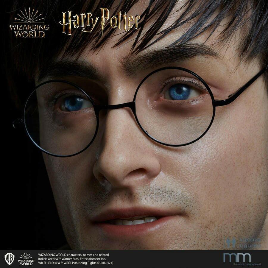 Harry potter  Muckle Mannequins 