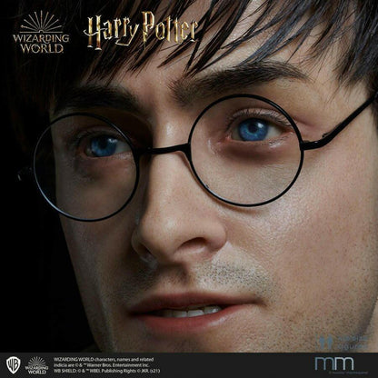 Harry potter  Muckle Mannequins 