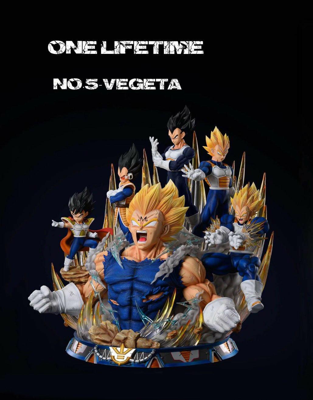 Vegeta Diorama SHK Resin Statue